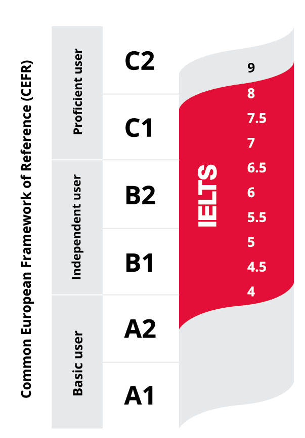 IELTSとセファールの比較図